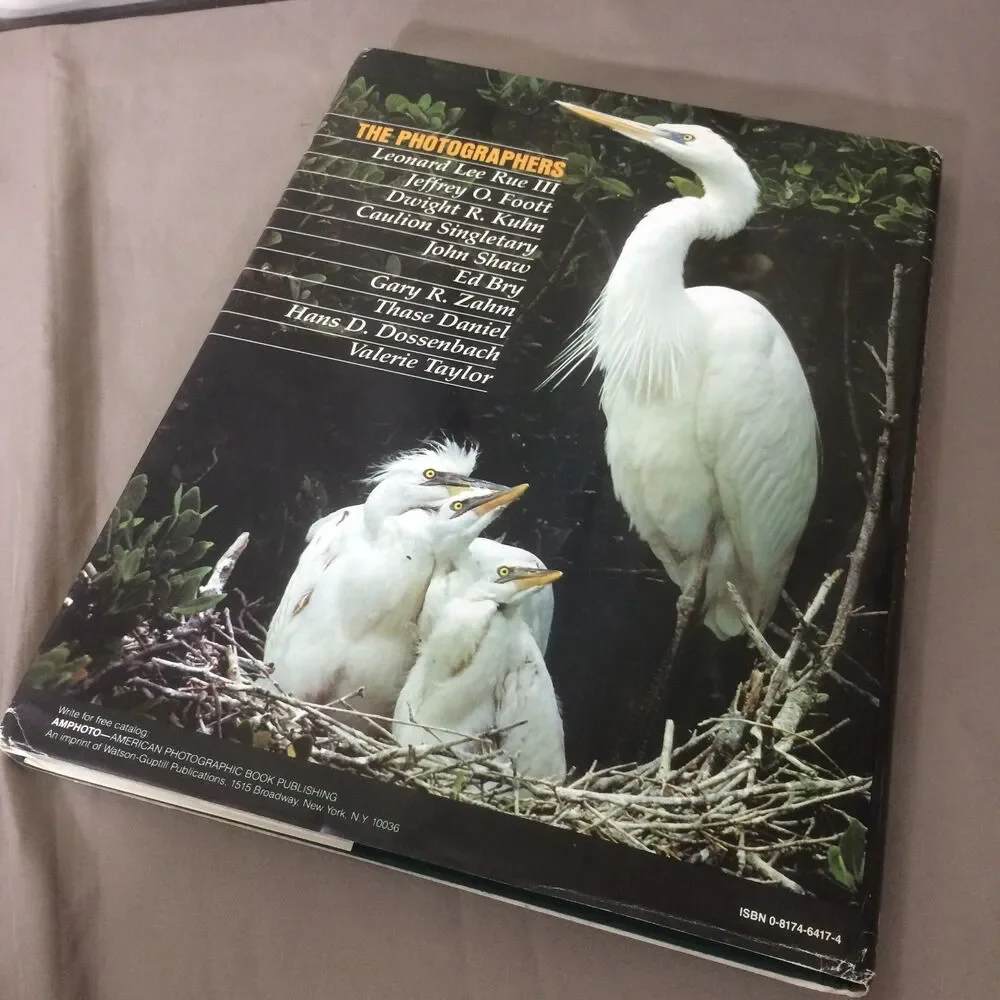 Wildlife Photography Art Technique Ten Masters Guilfoyle Rayfield 1982 HC DJ